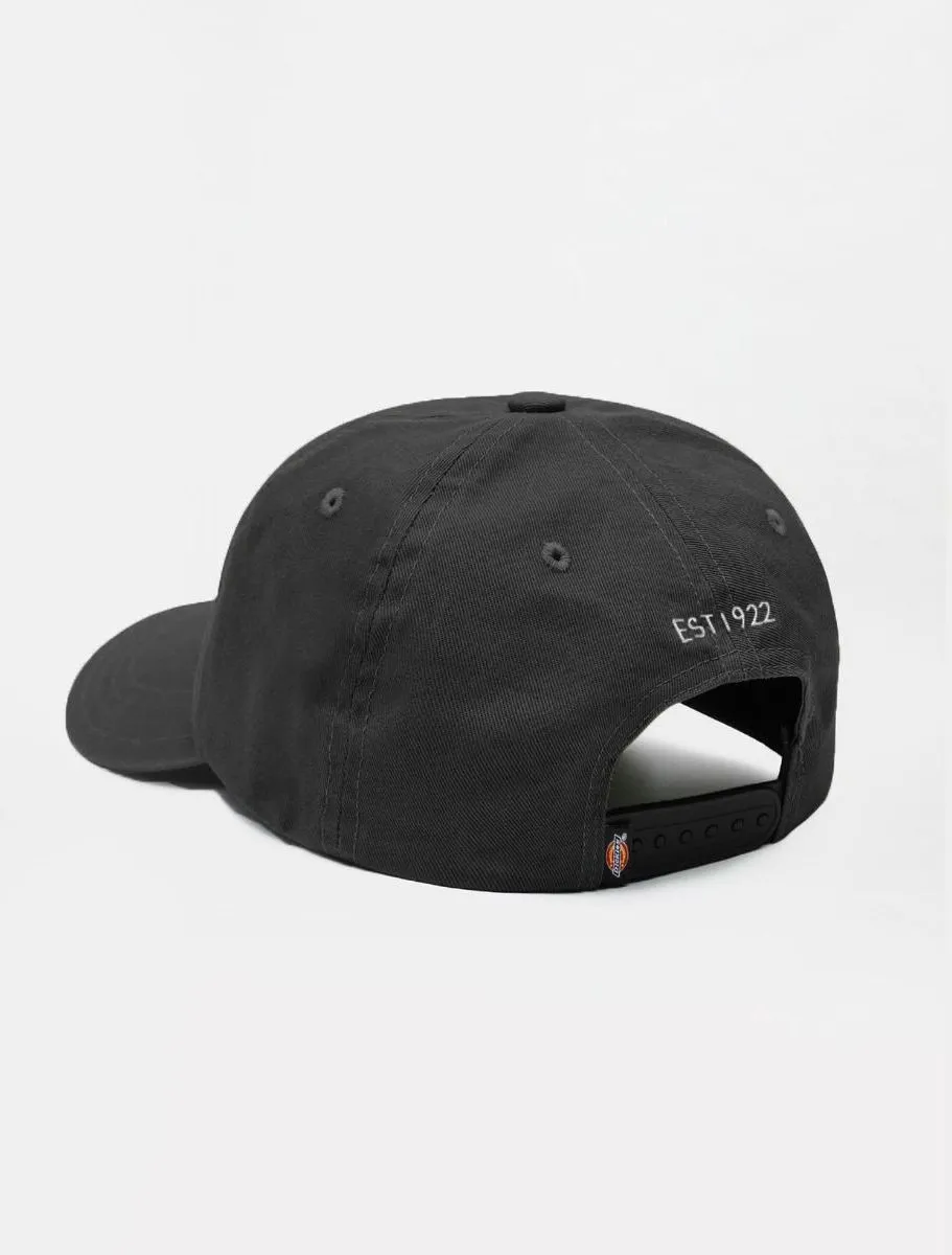 DICKIES HARDWICK | GORRA